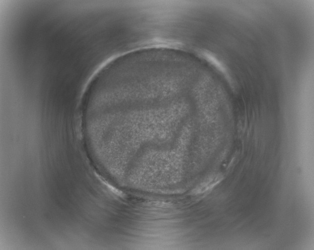 X0000068281310200605121901