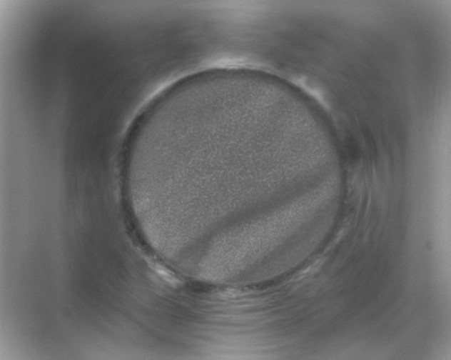 X0000068281311200605121901