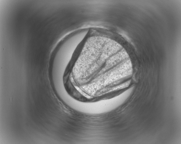 X0000068281312200605121901