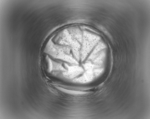 X0000068281316200605121902