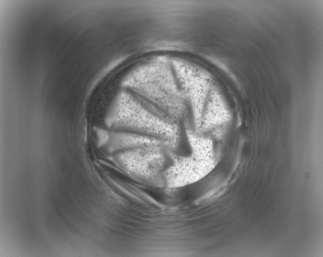 X0000068281317200605121902