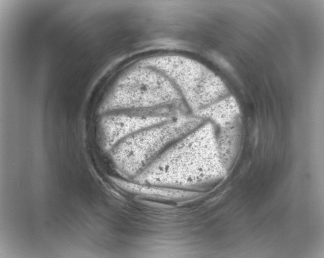 X0000068281318200605121902