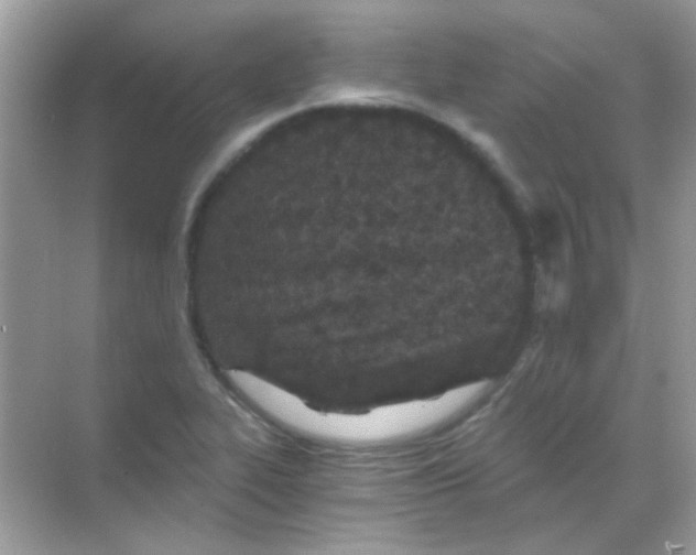 X0000068281319200605121902