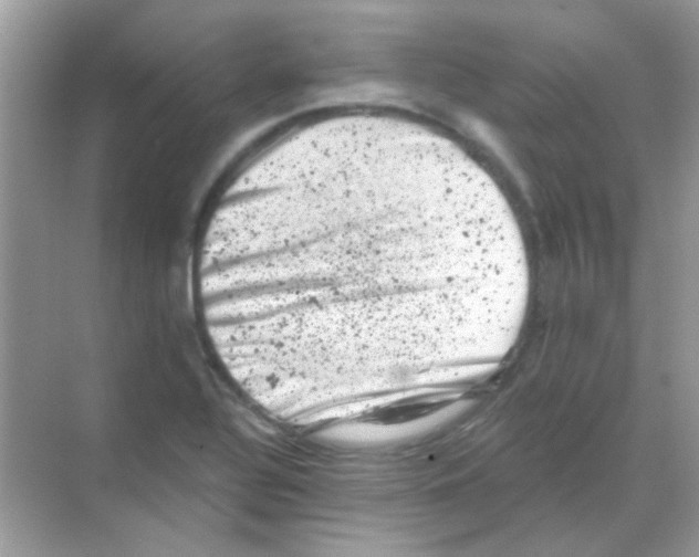 X0000068281320200605121902