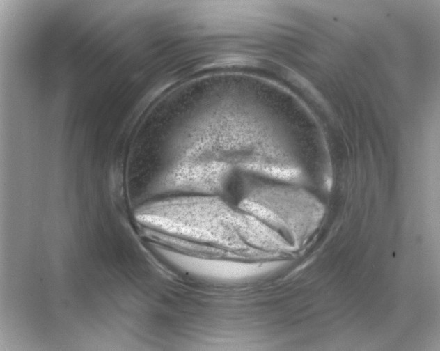 X0000068281321200605121902