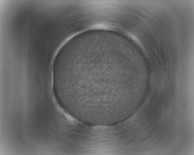 X0000068281323200605121902