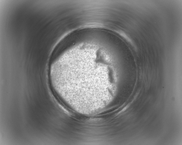 X0000068281325200605121902