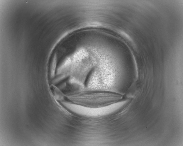 X0000068281326200605121902