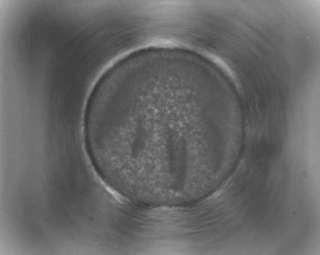 X0000068281327200605121902