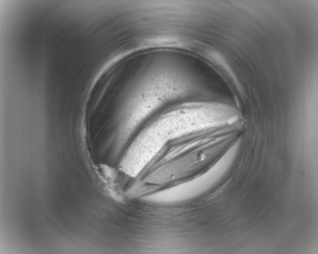 X0000068281328200605121902