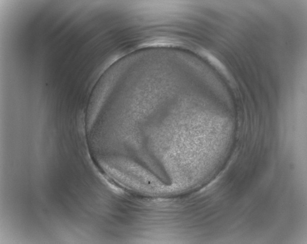 X0000068281329200605121902