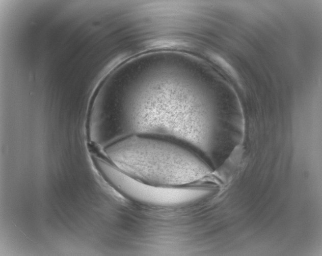 X0000068281330200605121902