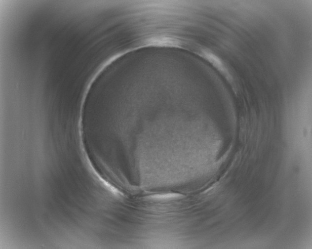 X0000068281331200605121902