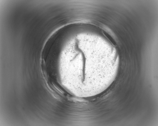 X0000068281332200605121902