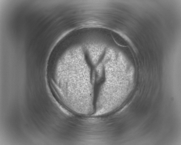 X0000068281333200605121902