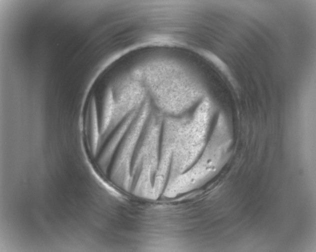 X0000068281335200605121902