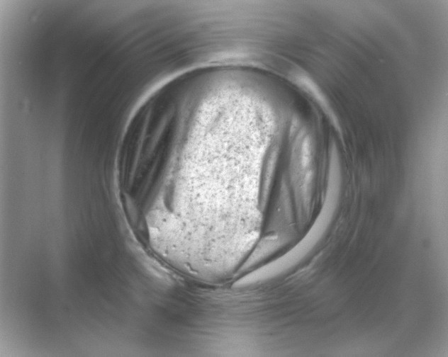 X0000068281336200605121902