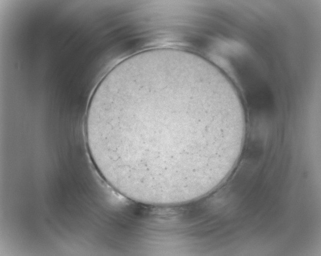 X0000068281338200605121902