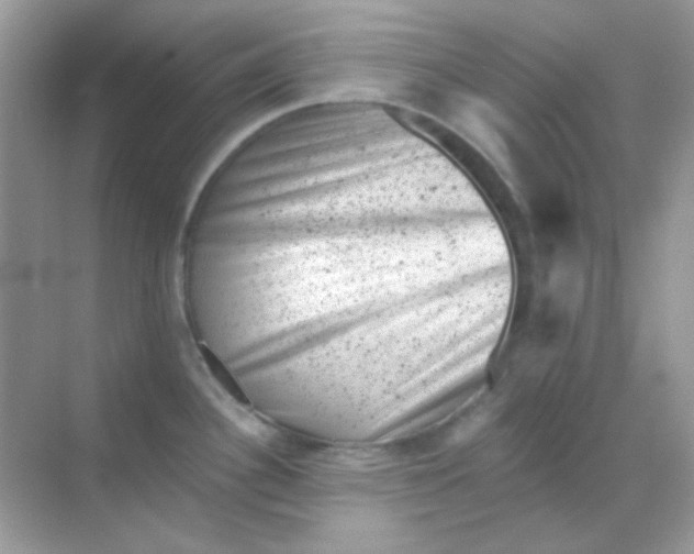 X0000068281340200605121902