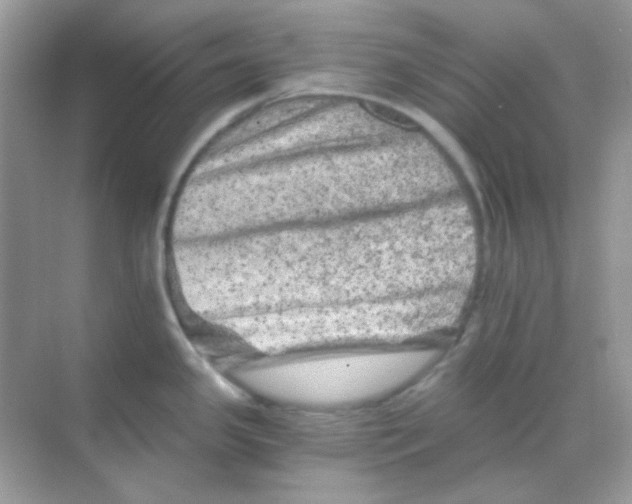 X0000068281341200605121902