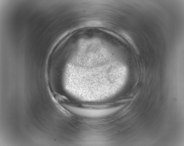 X0000068281342200605121902