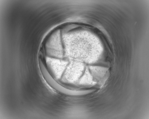 X0000068281344200605121902