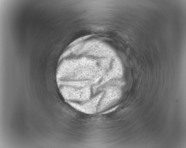 X0000068281345200605121901