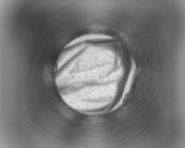 X0000068281346200605121901