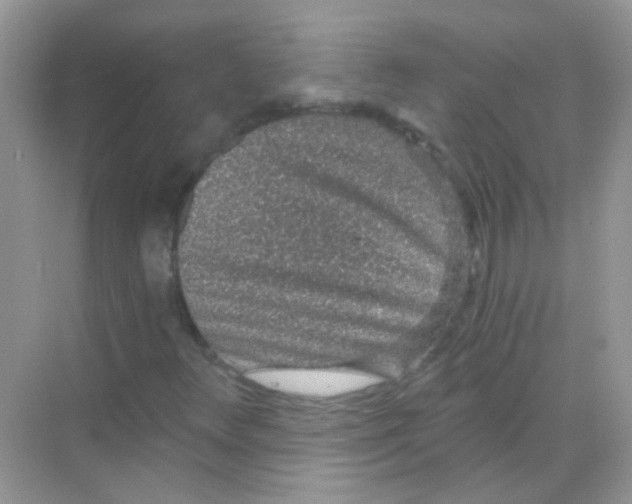 X0000068281348200605121901