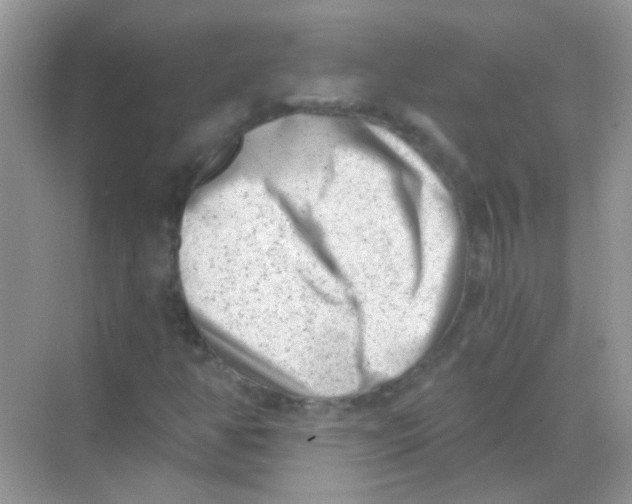 X0000068281350200605121901