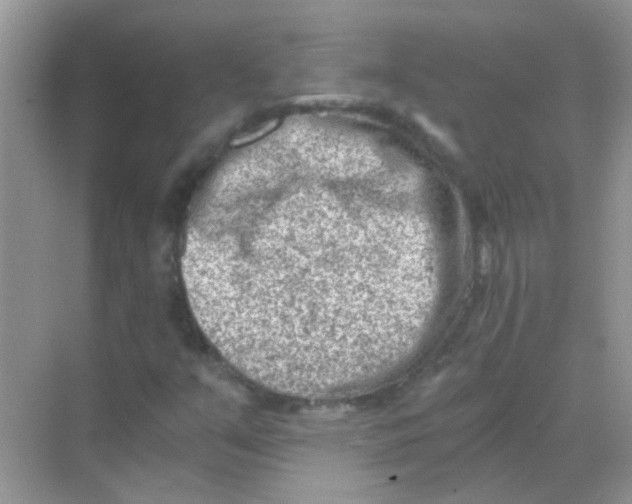 X0000068281351200605121901