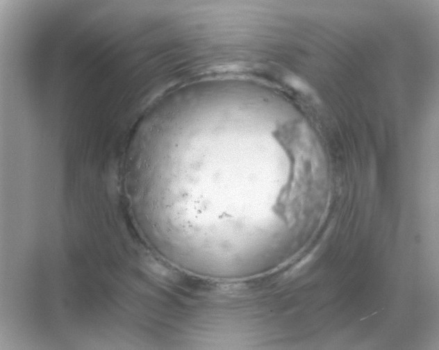 X0000068281353200605121901