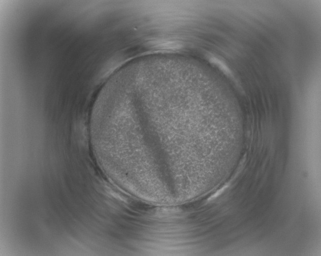 X0000068281354200605121901