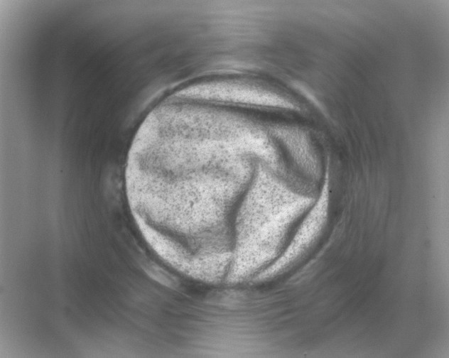 X0000068281355200605121901