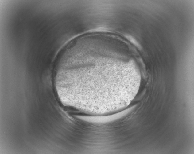 X0000068281356200605121901