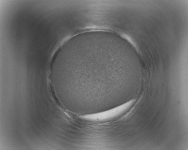 X0000068281357200605121901