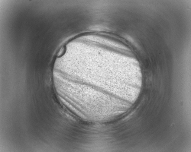 X0000068281358200605121901