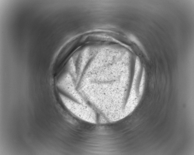 X0000068281360200605121901