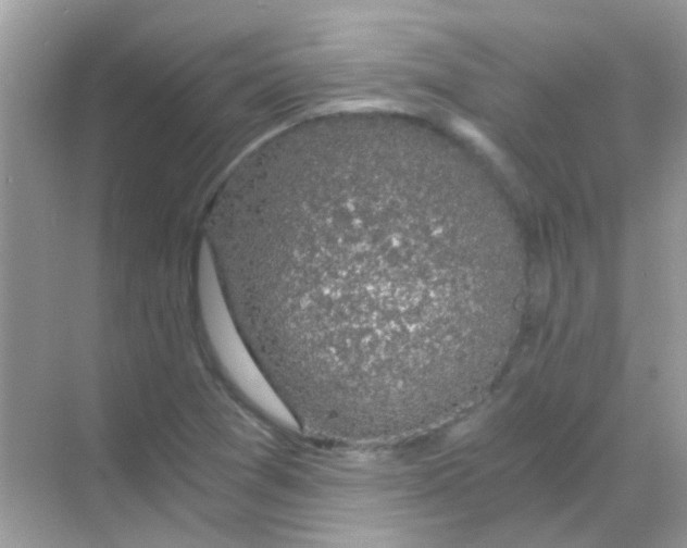 X0000068281361200605121901