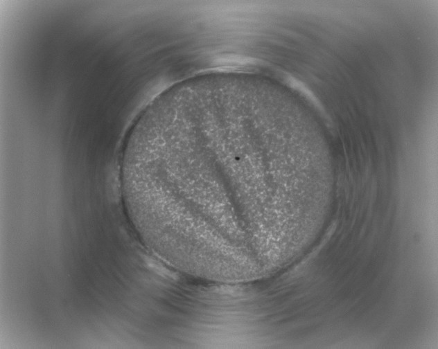 X0000068281362200605121901