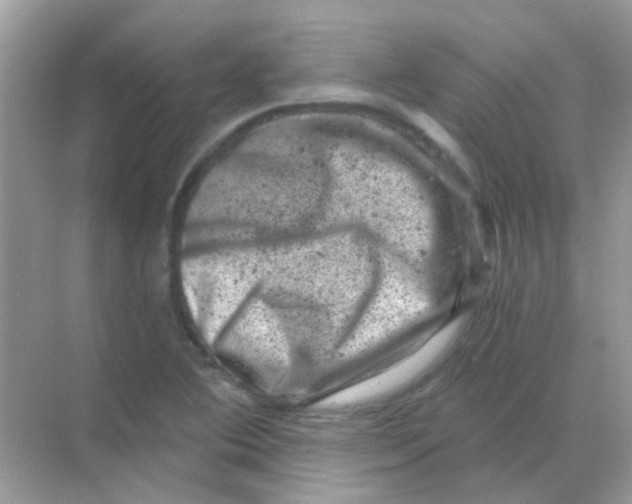 X0000068281364200605121901