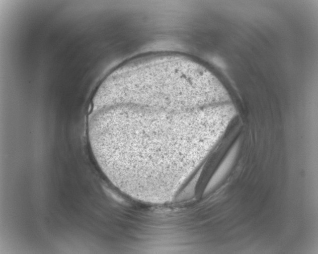 X0000068281366200605121901