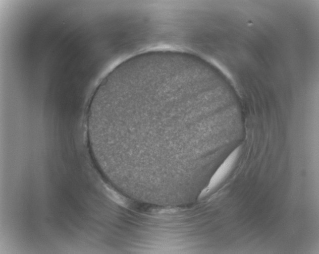 X0000068281367200605121901