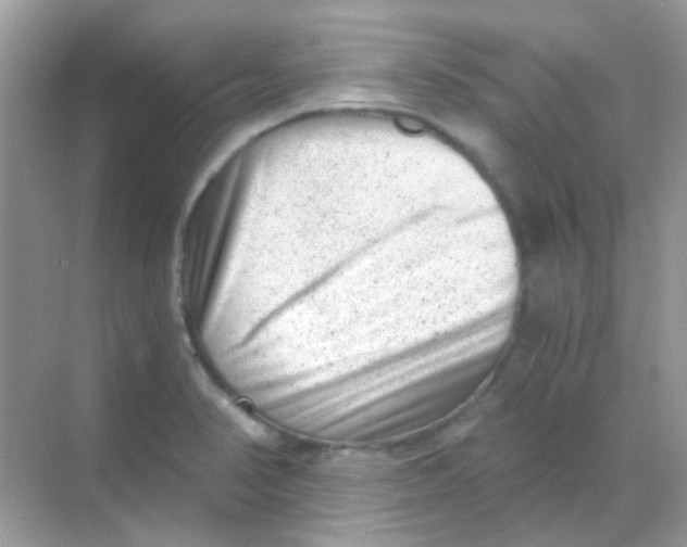 X0000068281374200605121901