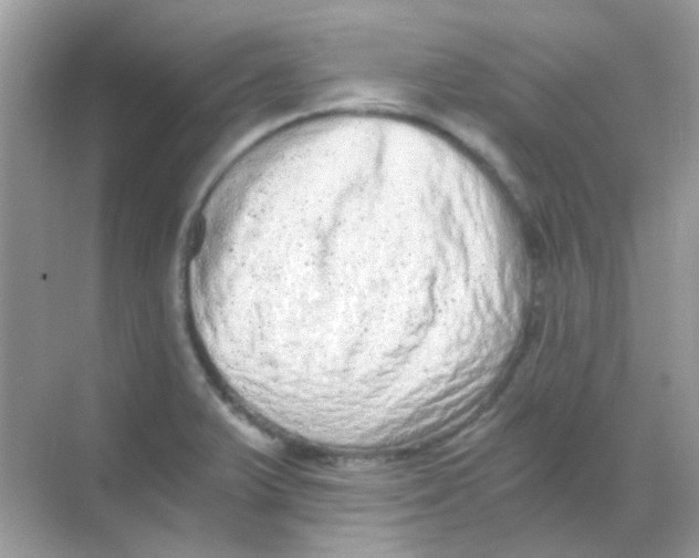 X0000068281375200605121901