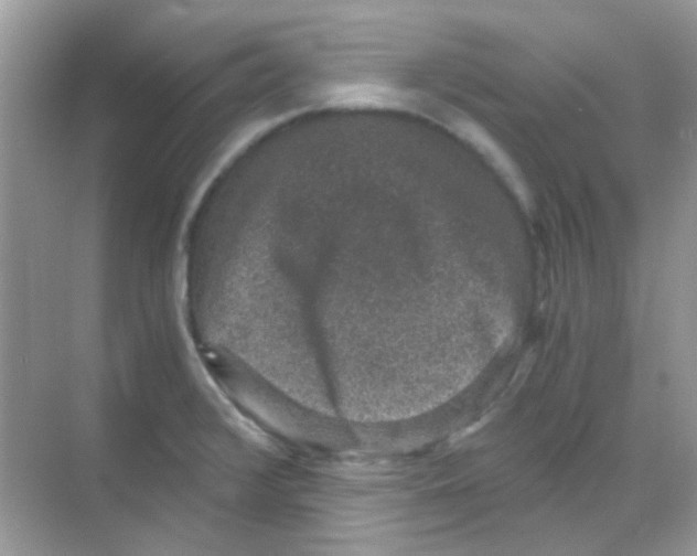 X0000068281376200605121901