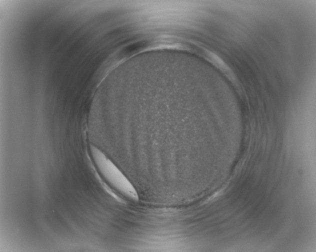 X0000068281377200605121901