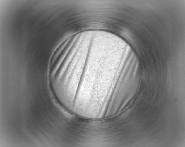 X0000068281378200605121901