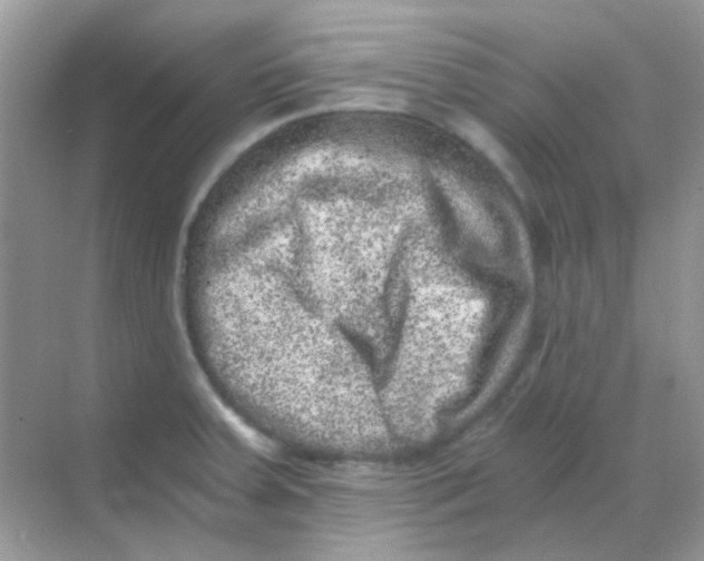 X0000068281379200605121901