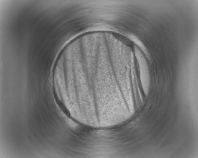 X0000068281380200605121901